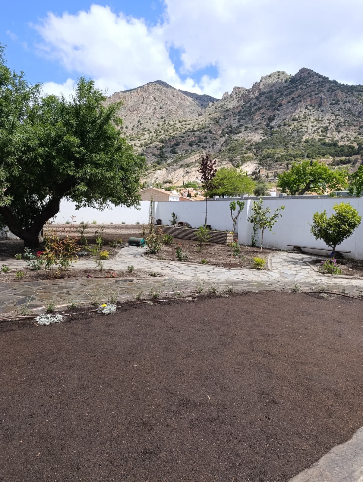 Jardín finalizado tras los trabajos de jardinería