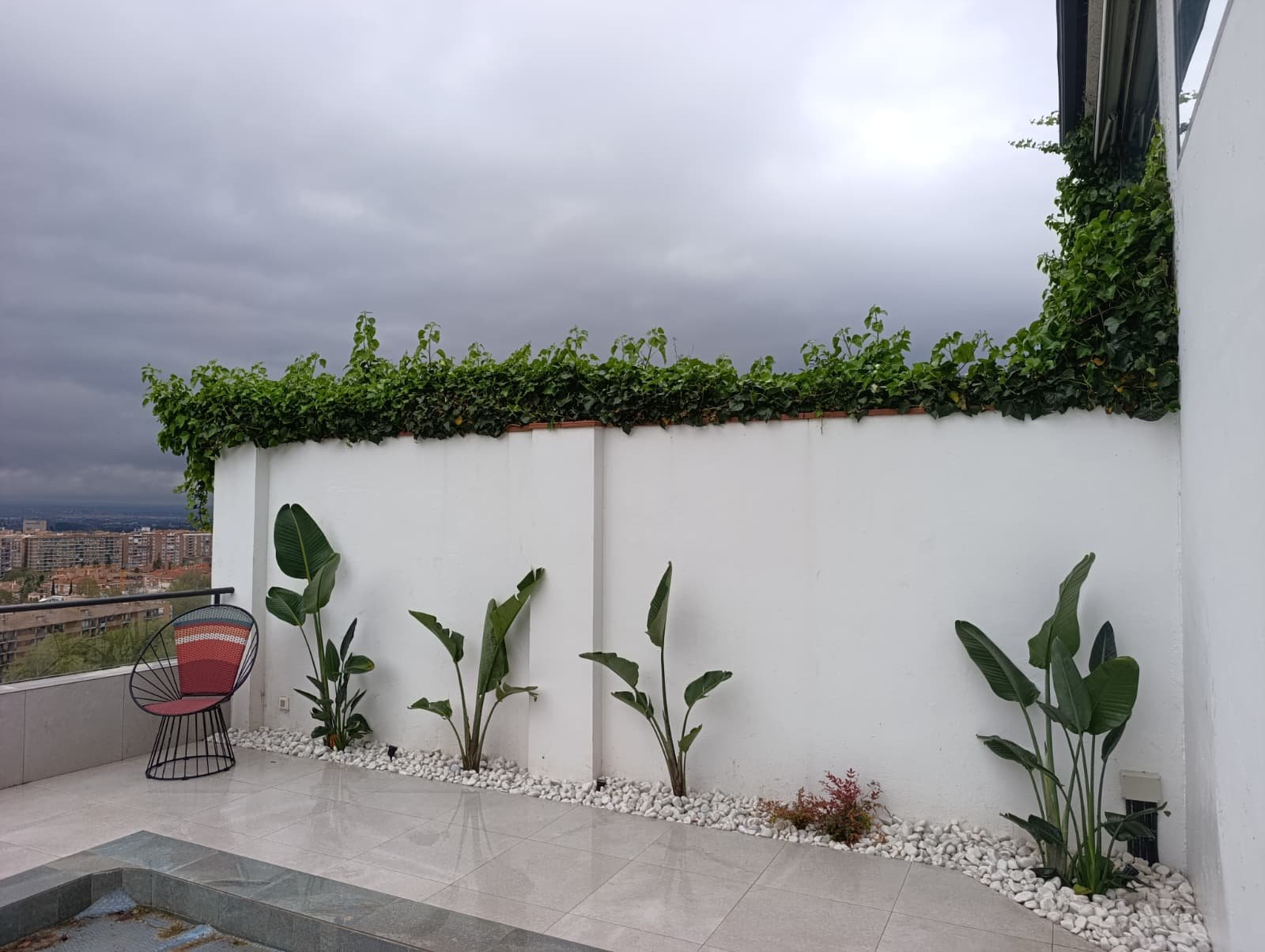Contacto Libélula Jardinería Granada