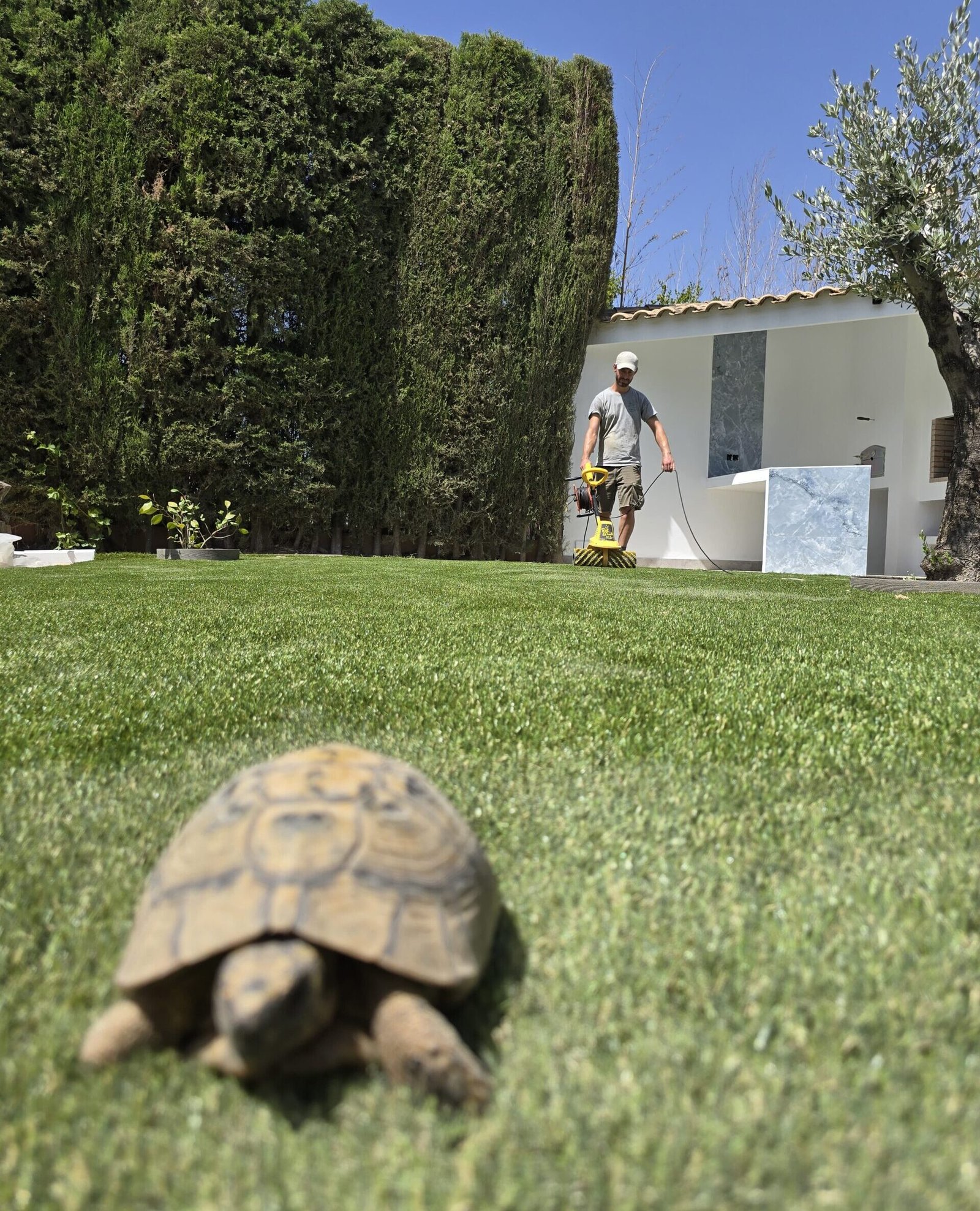 Jardinero profesional de jardinería en granada cepillando césped