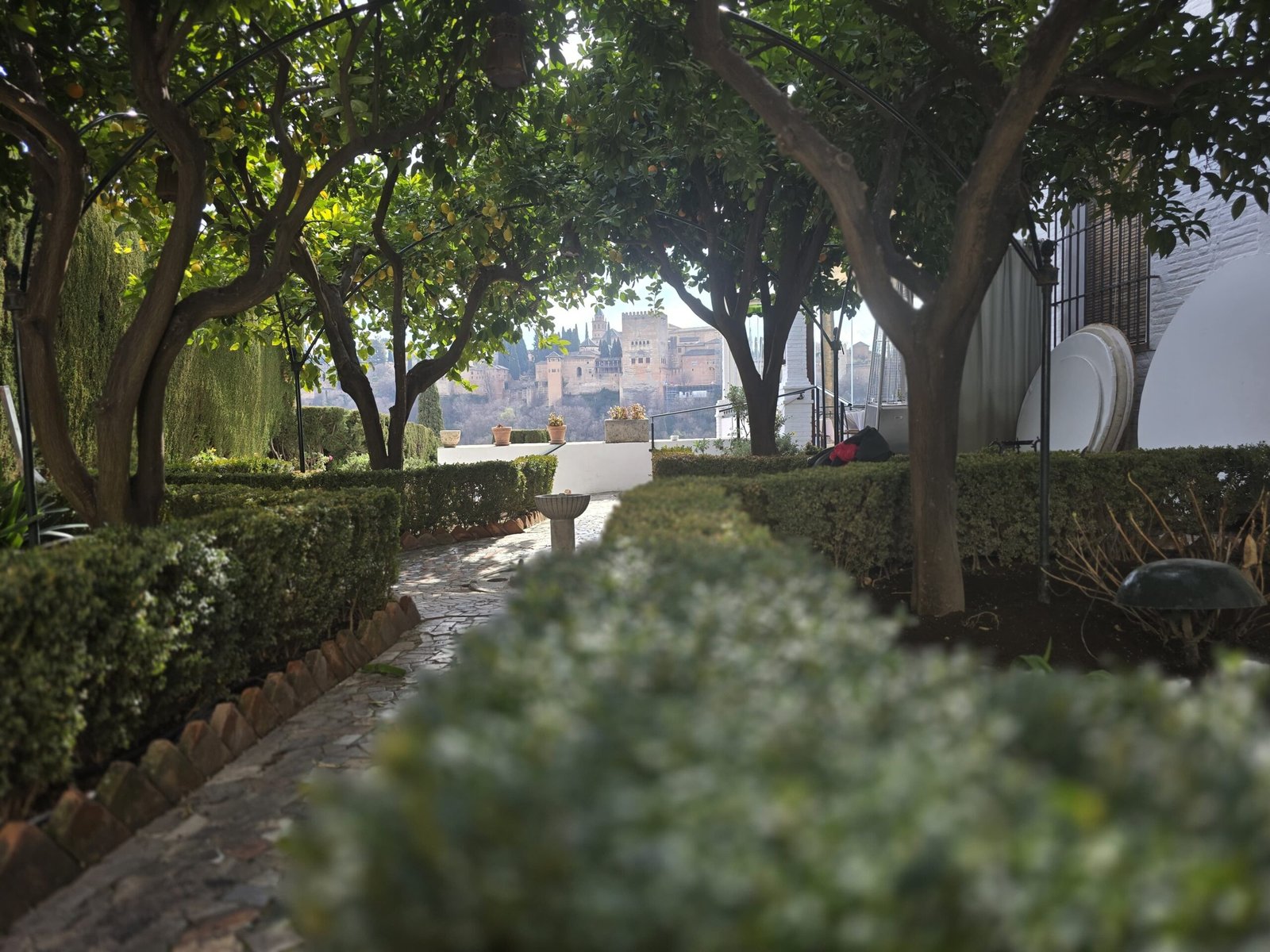 Solicite su presupuesto de jardinería en granada