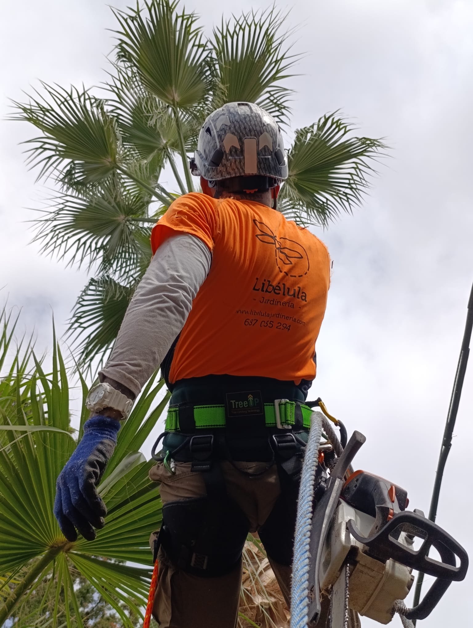 Equipo de nuestra empresa de jardinería en Granada